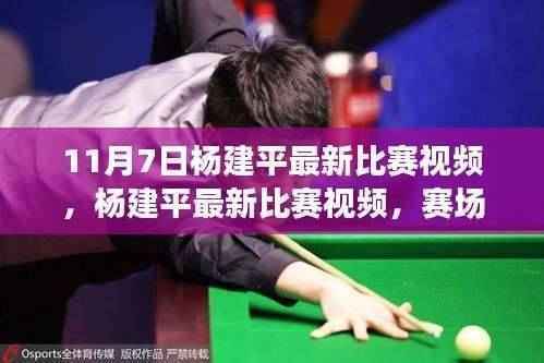 杨建平最新比赛视频,赛场风采与实力展现,11月7日精彩对决回顾