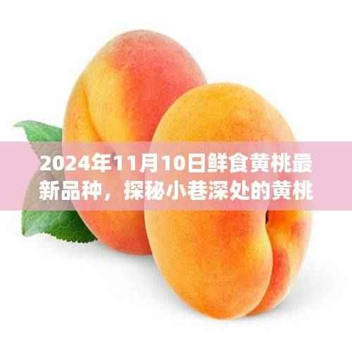 探秘鲜食黄桃新品种,小巷深处的尝鲜之旅(2024年最新报道)