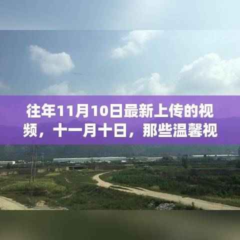 十一月十日温馨视频背后的故事揭秘