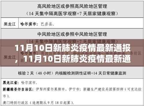 全球新肺炎疫情最新动态,全球态势与应对策略(11月10日更新)