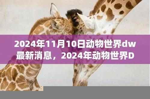 揭秘动物世界DW的最新动态，深度洞察动物世界的未来（2024年）