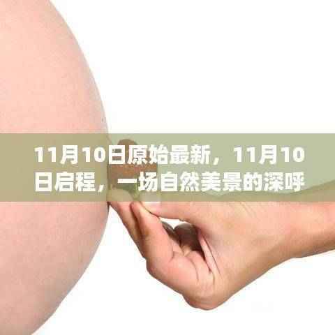 11月10日启程,深呼吸自然美景之旅,探寻内心平和与宁静的旅程