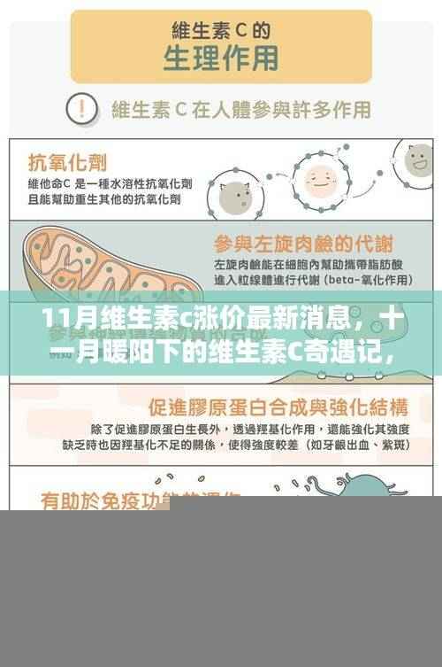 十一月维生素C价格上涨背后的故事,友情、家庭与爱在暖阳下的传递