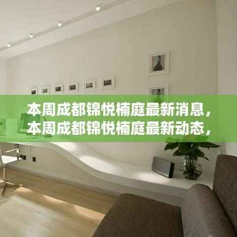 成都锦悦楠庭最新动态及深度解析聚焦某某观点