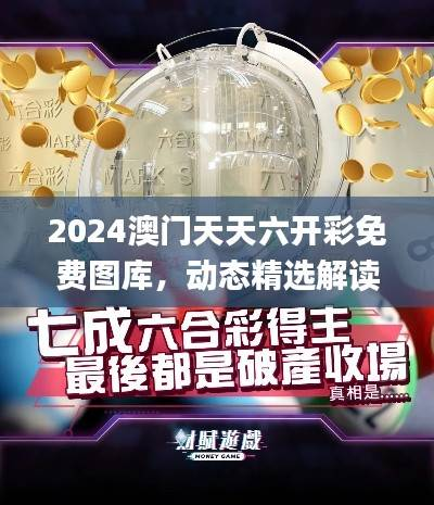 2024澳门天天六开彩免费图库,动态精选解读_版XHK280.85