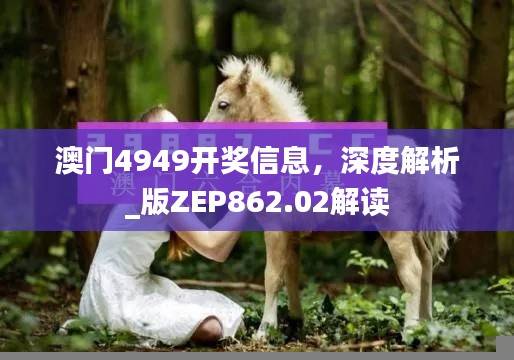 澳门4949开奖信息,深度解析_版ZEP862.02解读