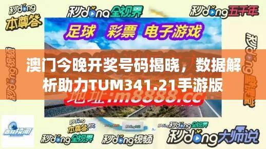 澳门今晚开奖号码揭晓,数据解析助力TUM341.21手游版