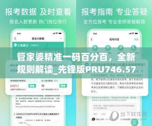 管家婆精准一码百分百,全新规则解读_先锋版PRU746.57