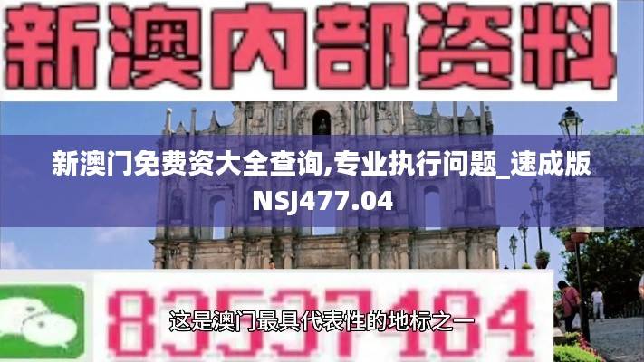 新澳门免费资大全查询,专业执行问题_速成版NSJ477.04
