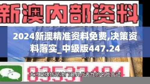 2024新澳精准资料免费,决策资料落实_中级版447.24
