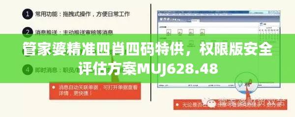 管家婆精准四肖四码特供,权限版安全评估方案MUJ628.48