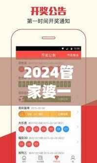 2024管家婆一码中一肖详解精选,精装版NWE977.45版面