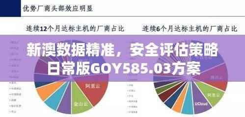 新澳数据精准,安全评估策略日常版GOY585.03方案