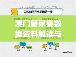澳门管家婆数据资料解读与实施详解_内置ATD806.36版本