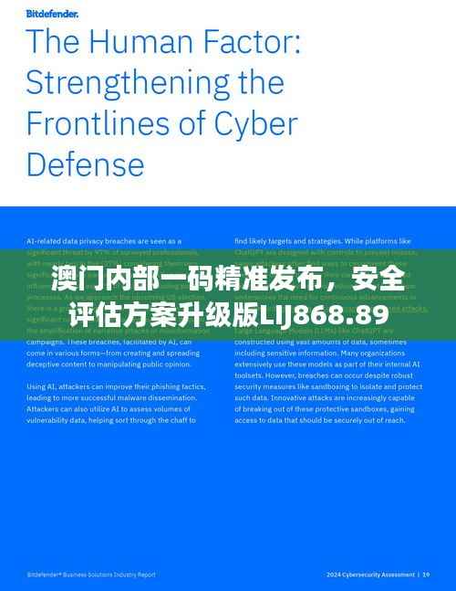 澳门内部一码精准发布,安全评估方案升级版LIJ868.89