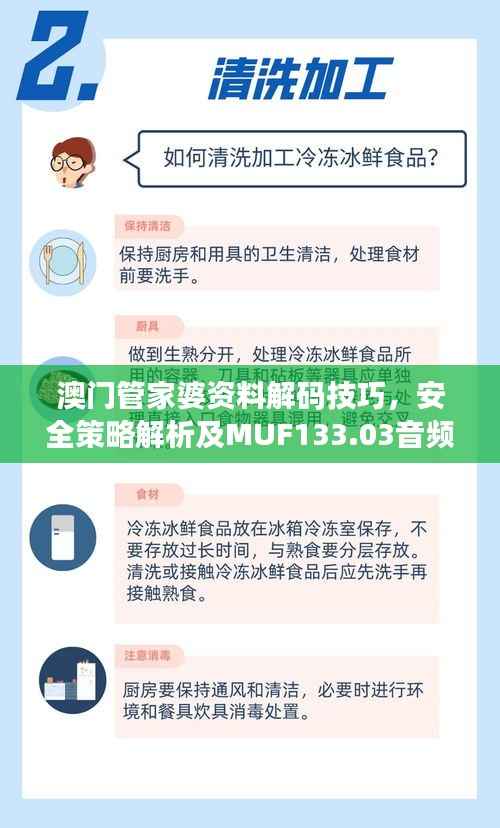 澳门管家婆资料解码技巧,安全策略解析及MUF133.03音频版