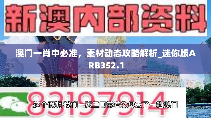 澳门一肖中必准,素材动态攻略解析_迷你版ARB352.1