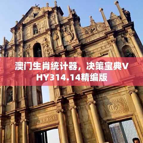 澳门生肖统计器,决策宝典VHY314.14精编版