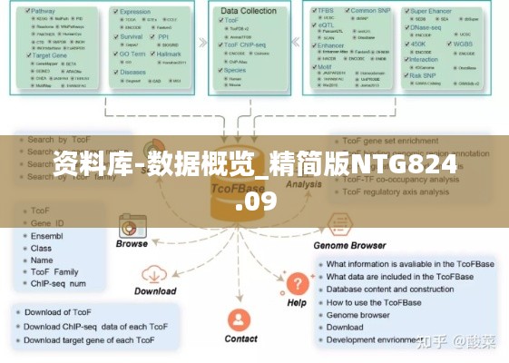 资料库-数据概览_精简版NTG824.09