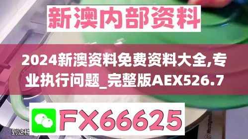 2024新澳资料免费资料大全,专业执行问题_完整版AEX526.77