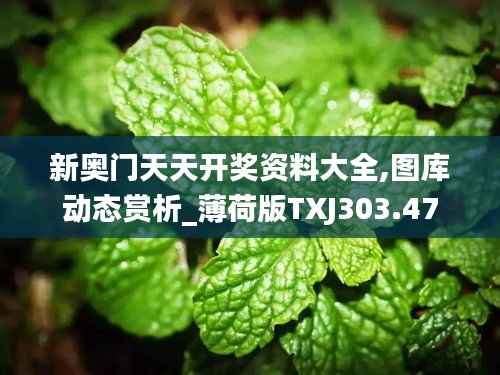 新奥门天天开奖资料大全,图库动态赏析_薄荷版TXJ303.47