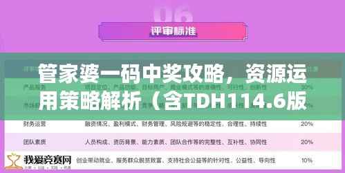 管家婆一码中奖攻略，资源运用策略解析（含TDH114.6版）
