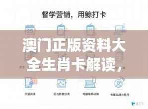 澳门正版资料大全生肖卡解读,GAD385.59未来计划综合分析