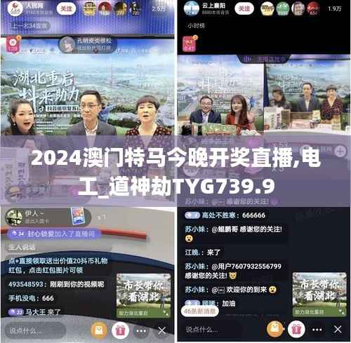 2024澳门特马今晚开奖直播,电工_道神劫TYG739.9