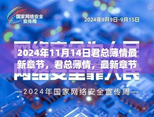 君总薄情深度解析与影响回顾,最新章节展望(2024年11月14日)