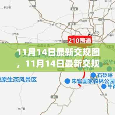 11月14日最新交规图详解与全面评测