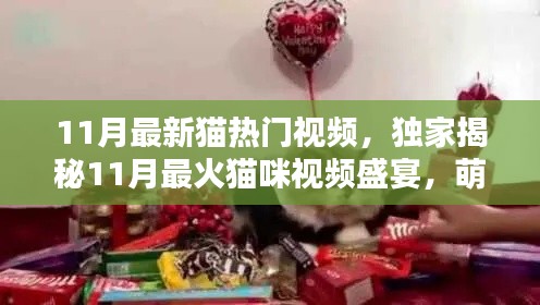 独家揭秘,萌宠狂欢派对!十一月最火猫咪视频盛宴来袭!
