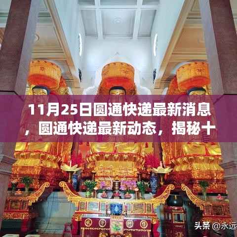 揭秘圆通快递最新动态，三大看点悉数呈现（11月25日更新）