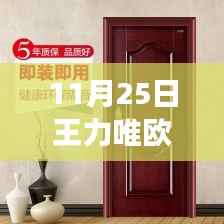 王力唯欧木门新价格揭秘,开启温馨家庭购物之旅