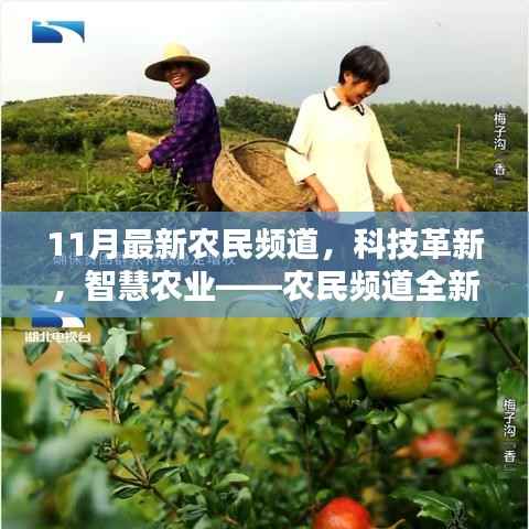 农民频道全新升级，科技革新与智慧农业体验未来农业新生活