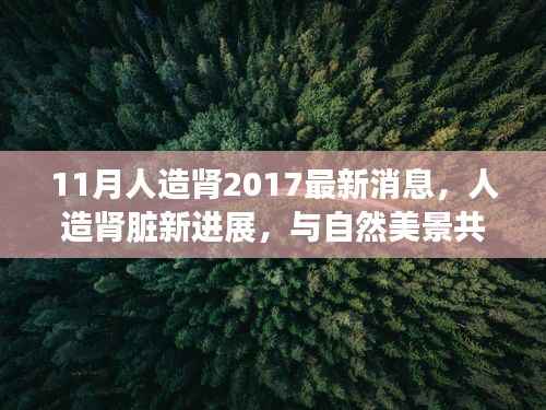 人造肾脏最新进展，与自然美景共舞的探索之旅，探寻内心宁静的奇迹