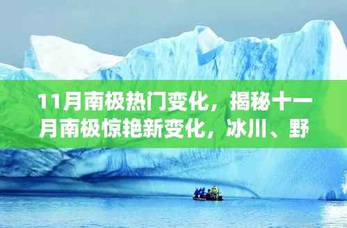 揭秘十一月南极新变化,冰川、野生动植物与你共舞南极之旅