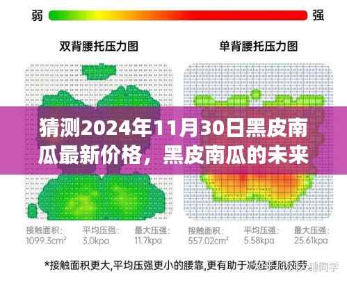 黑皮南瓜未来趋势揭秘,把握机遇,自信闪耀南瓜市场预测报告(最新价格及学习变化)