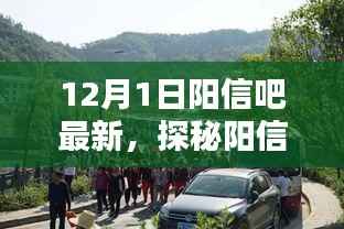 探秘阳信吧，小巷深处的独特风味，十二月惊喜等你来发现！