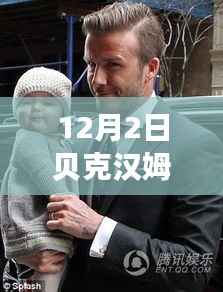 贝克汉姆女儿小七的最新动态,产品特性与体验的全方位解读