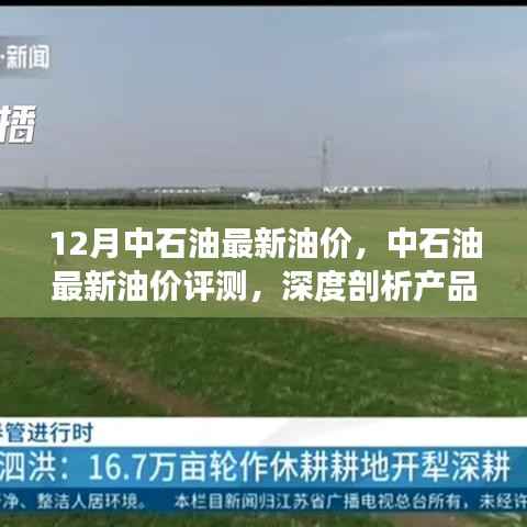中石油最新油价深度解析,产品特性、用户体验与目标用户群体分析