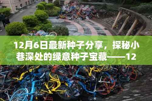 独家报道，探秘小巷深处的绿意种子宝藏——最新种子分享会揭秘十二月的种子宝藏