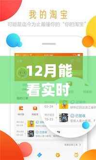 揭秘十二月智能菜价软件的崛起之路，实时追踪菜价，掌握生活脉动的新利器。