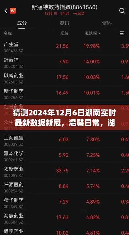 湖南新冠疫情下的温馨日常,新冠小秘密与家的温暖时光(实时更新至2024年12月6日)