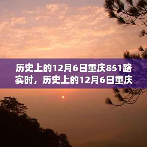 历史上的12月6日重庆851路公交车事件深度解析与探讨