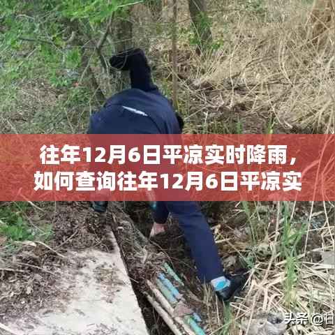 往年12月6日平凉实时降雨查询步骤指南及数据解析