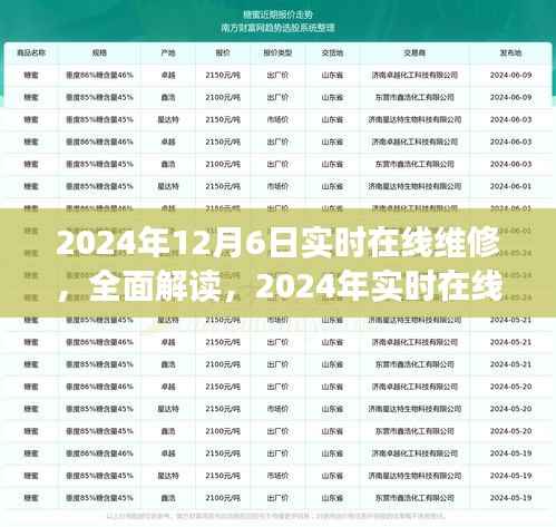 深度解读，2024年实时在线维修服务深度评测——以在线维修为例