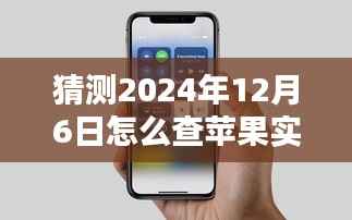 探秘苹果秘境，未来实时价格查询指南，预测2024年12月6日苹果价格走势揭秘