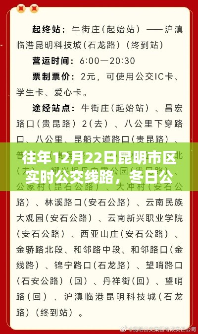 昆明市区冬日公交之旅，暖心重逢与公交奇遇的纪念日