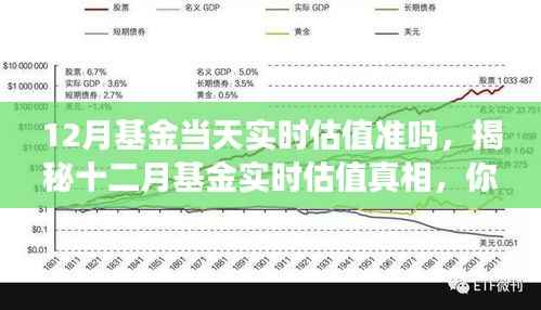 揭秘十二月基金实时估值真相，投资决策的可靠性分析