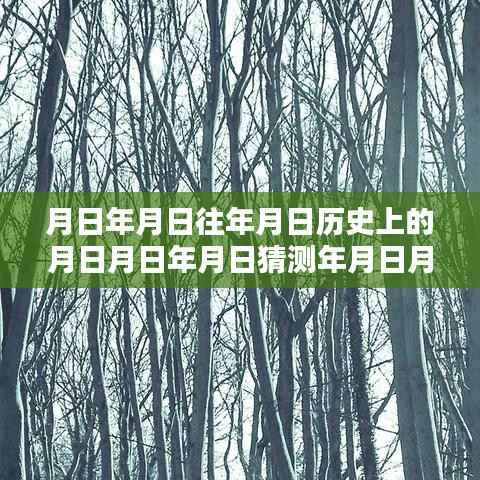 岁月流转下的专属记忆,制作历史实时定位壁纸的独家指南揭秘小红书教程